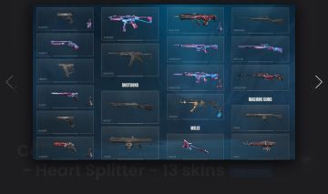 Conta valorant com skins de vandal e outras armas