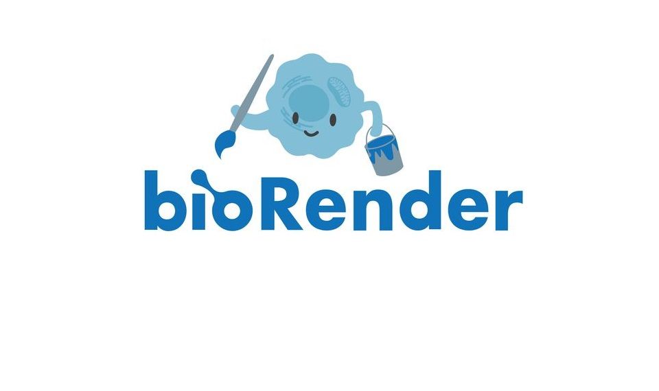 BIORENDER PLANO INDIVIDUAL 14 DIAS | CONTA EXCLUSIVA