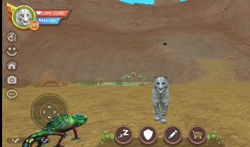 Melhor conta Wild craft