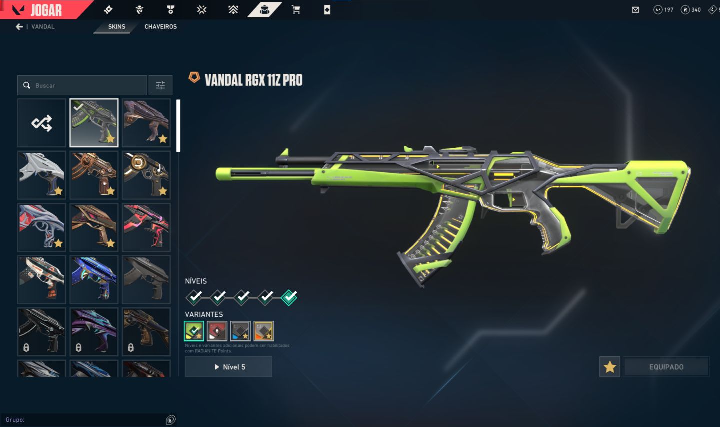 Conta valorant, vandal ancifogo, vandal rgx, vandal gaia, etc