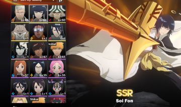 Soi fon e kensei