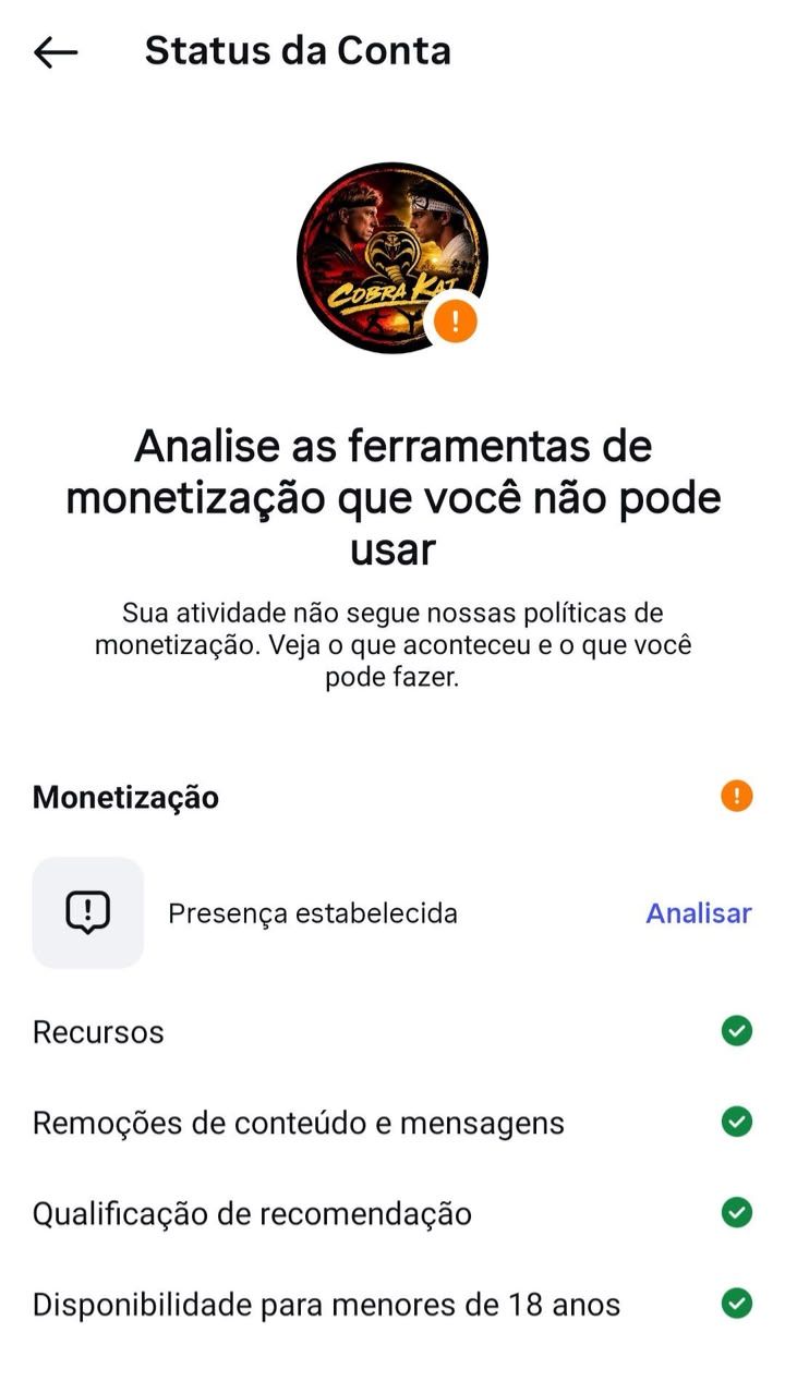 Conta de Instagram Cobra Kai | 2,9 Mil Seguidores | Alto Engajamento |