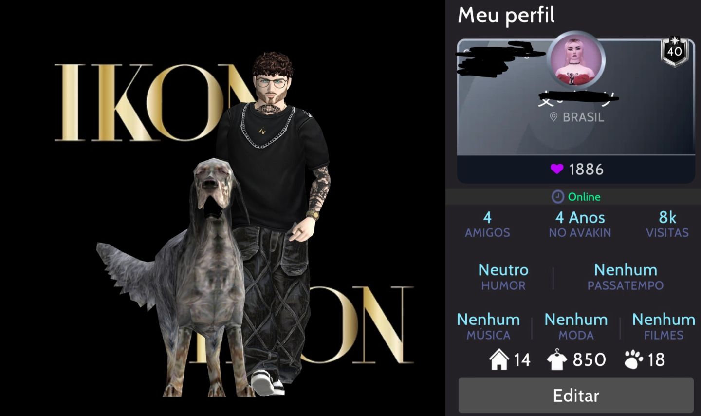 Conta VIP masculina avakin life nível 40