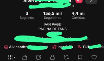 Conta TikTok 156K BR Alto Engajamento