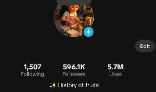 TikTok BR com 600k, conteúdo histórias emocionantes, engajado, seguidores reais