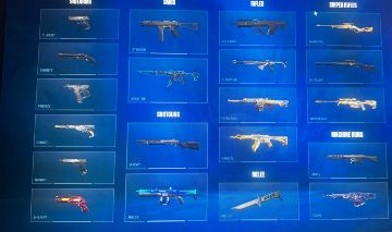 Conta de Valorant com diversas skins, banners, passes e cards.