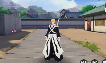 Conta Iniciante com ichigo true shikai
