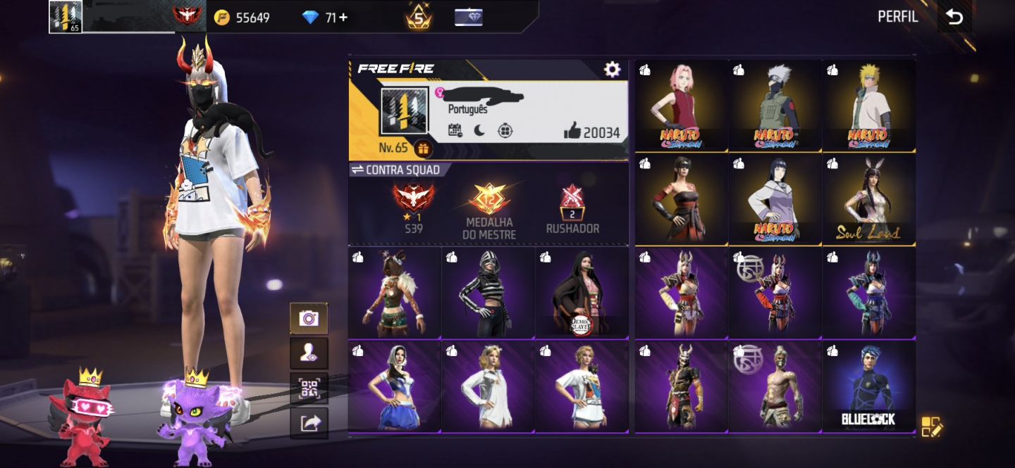 CONTA LEVEL 65 | 3 EVOLUTIVAS | BARBINHA | 27 PASSES | SEM E-MAIL DE REC
