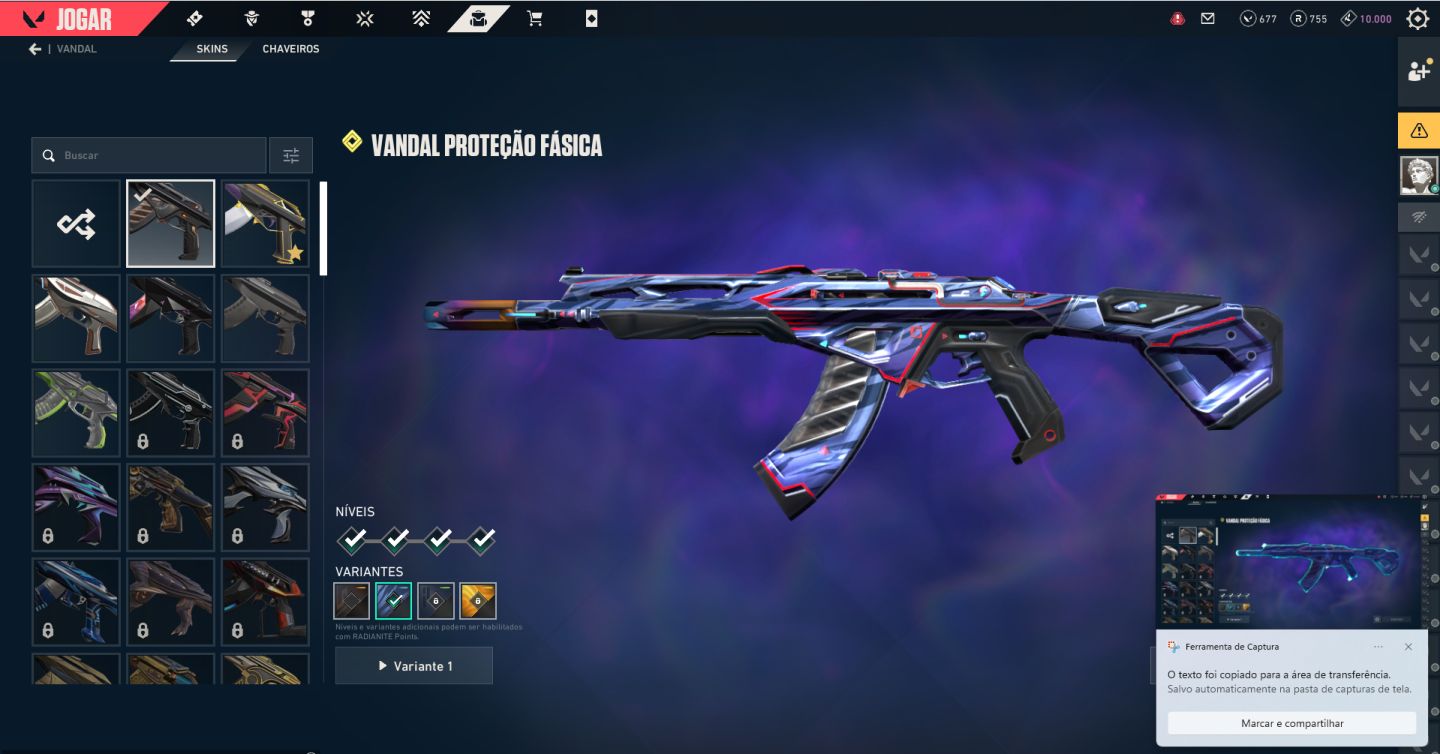 Conta De Valorant Com 3 Vandal e Faca Butterfly