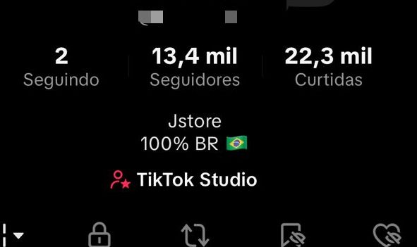 Conta TikTok Monetizada 13,4k seguidores, lives ativas,(nicho fácil de produzir)