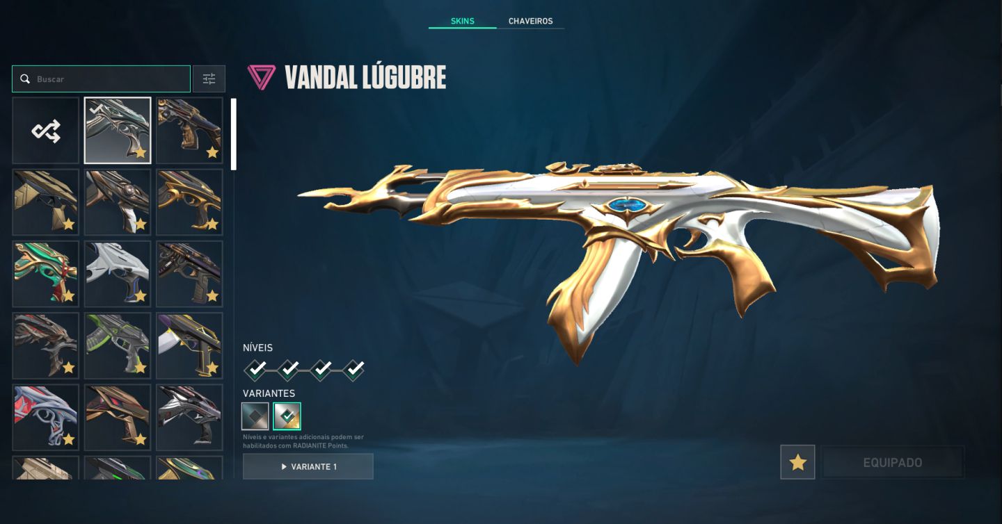 Conta de Valorant PREMIUM Full Acesso +2K Gastos