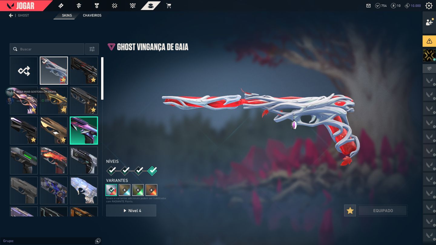 CONTA VALORANT + de 11k