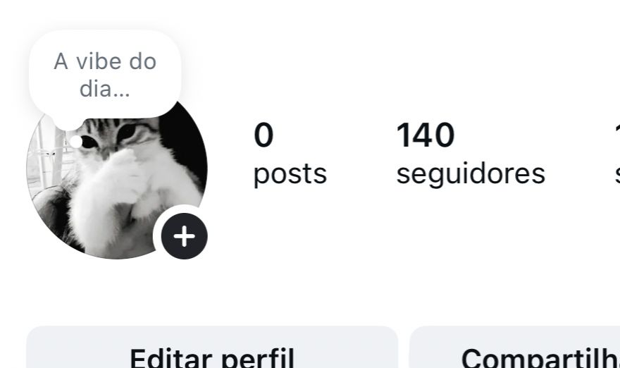 CONTA INSTAGRAM COM MAIS DE 100 SEGUIDORES REAIS