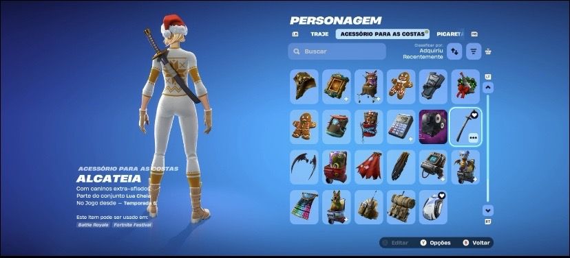 FORTNITE 90+ SKINS | RENEGADA FLAMEJANTE | FOICEBOL | MELLORETA | GARRA-GATO