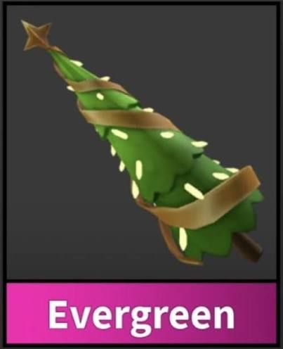EVERGREEN