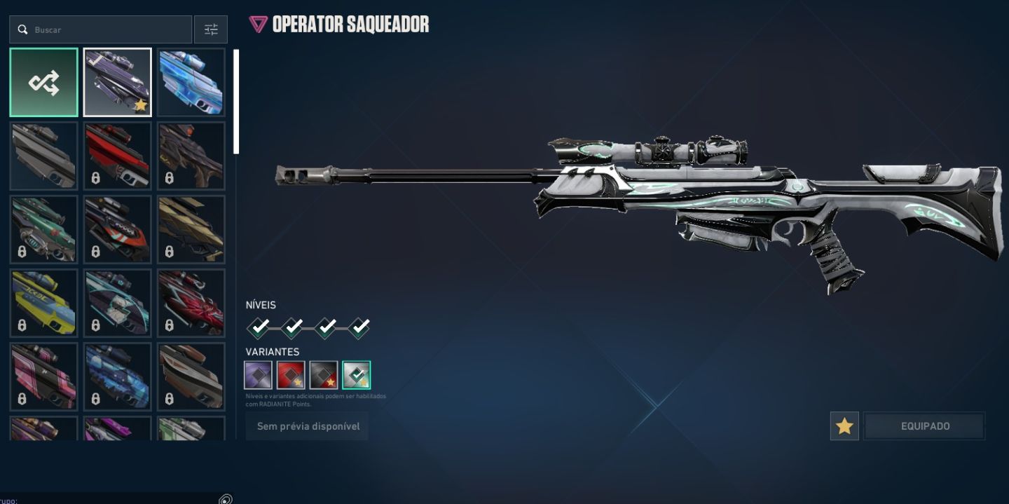 Conta valorant muitas skins de vandal + facas + champions 2025