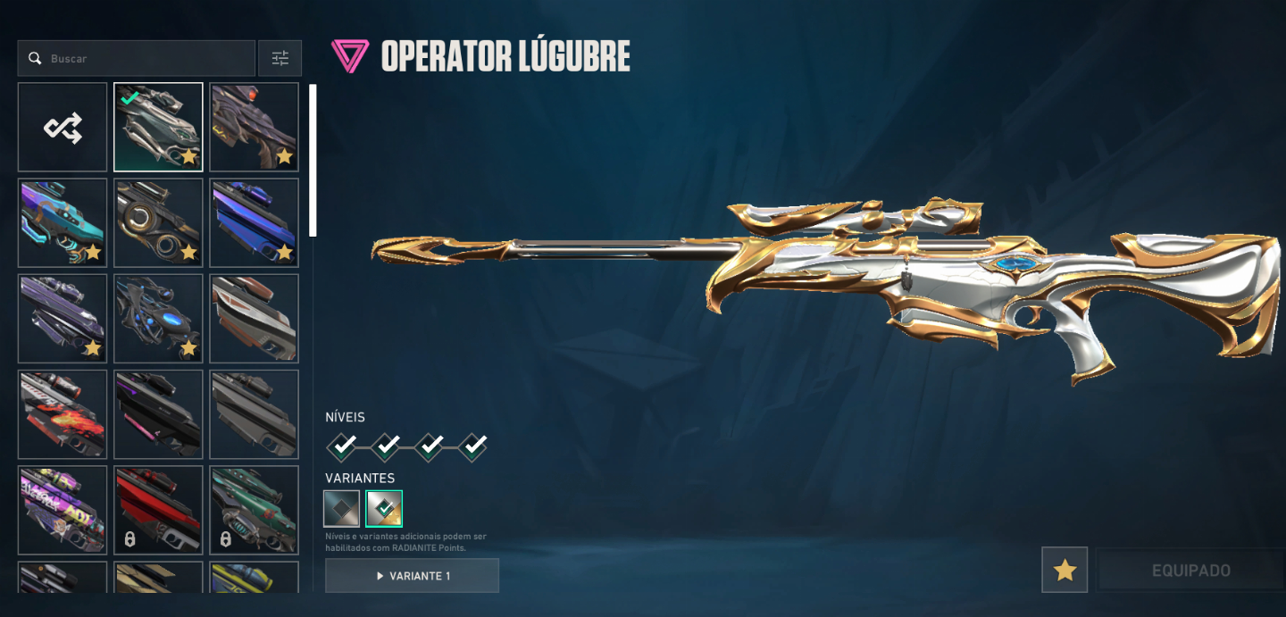 CONTA RIOT VALORANT RANKED - MD5 - ENTREGA RÁPIDA + de 70 skins compradas