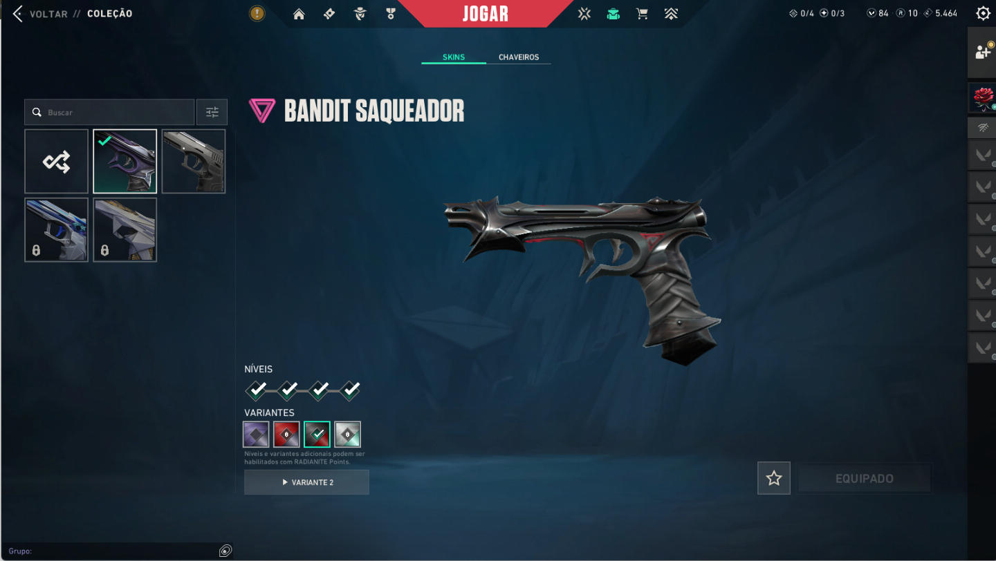 Conta Valorant Completa + Saqueador 2.0 Full
