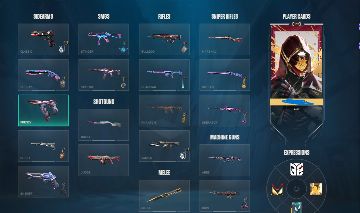 Conta Valorant +2k100 gastos e com champions 2025