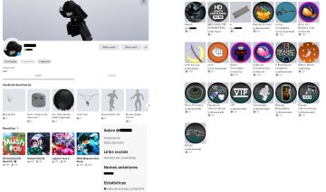 Conta de Roblox Upada no Project Slayer, Blox Fruits e alguns outros jogos