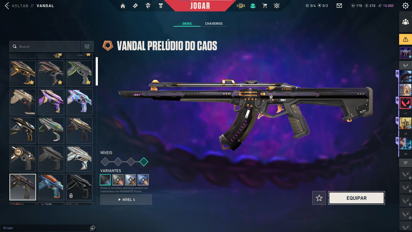 CONTA VALORANT, UNICO DONO R$2.500,00 GASTOS NELA.