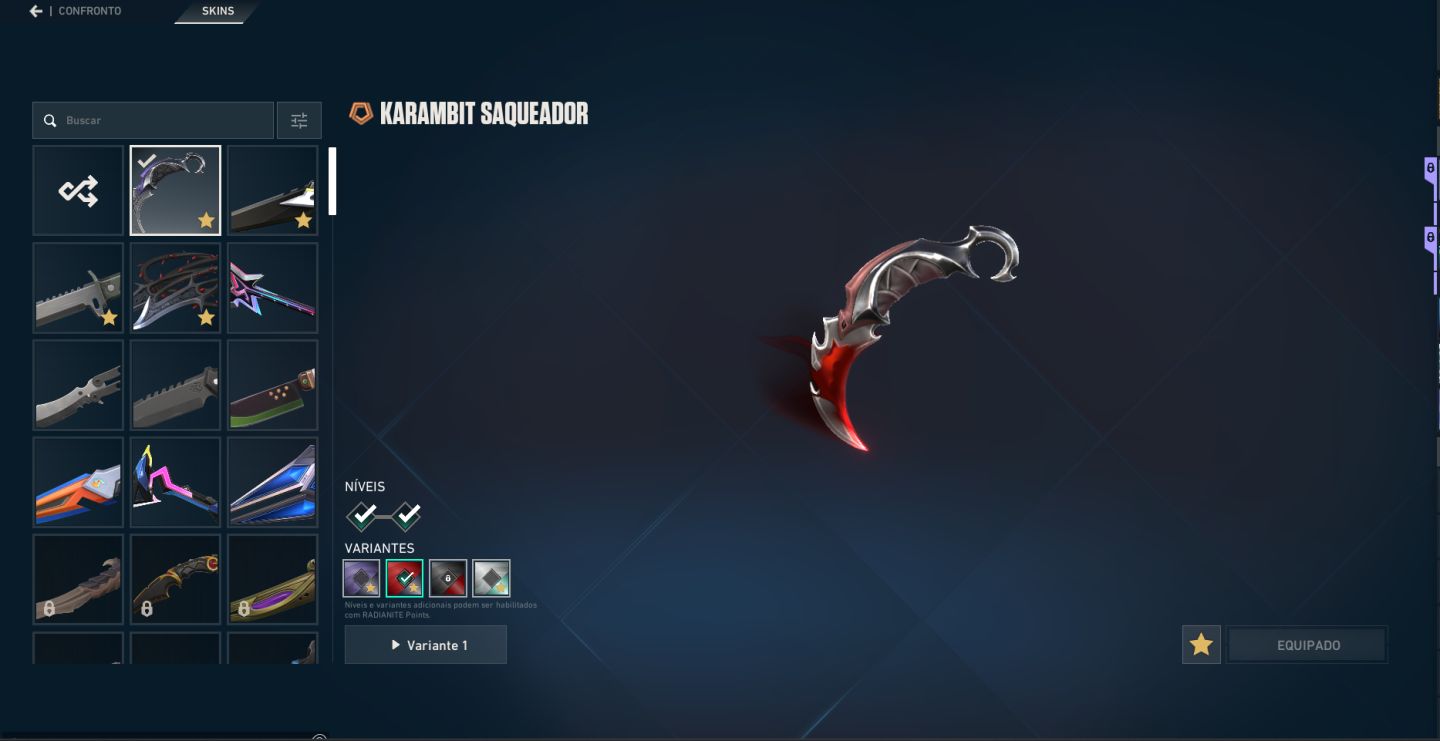 Conta de Valorant com 9 skin de vandal