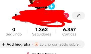 Conta do tik Tok com 1362 seguidores