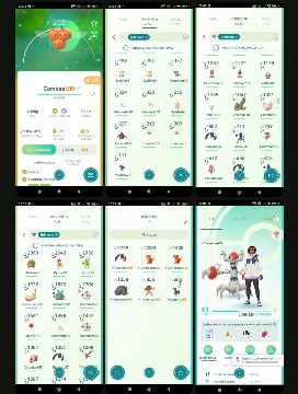 PROMOÇÃO LVL 61 | 34 SHINY | COMBEE - Pokemon GO - GGMAX