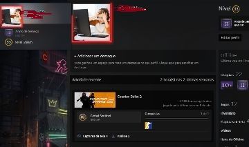 CONTA STEAM 14 ANOS/LEVEL 20 GC/PROPLAYERS DA FURIA E OUTROS/MAIS DE 26 MEDALHAS
