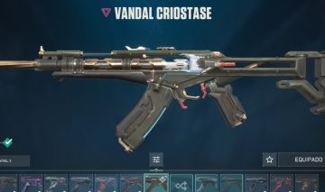 Conta valorante com varias skin para vc jogar competitivo