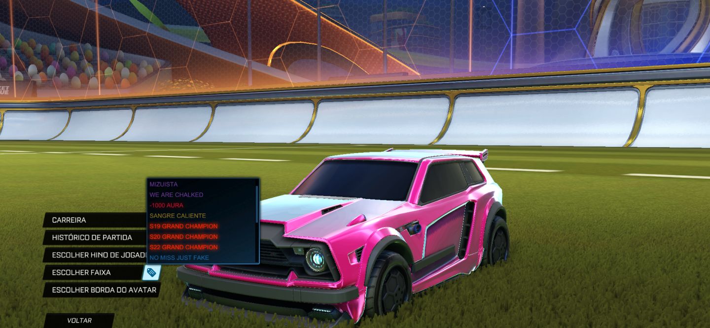 Conta Rocket League Peak GC1 (1458) 1300cr Fennec Tags GC + Passe Atual e Bms
