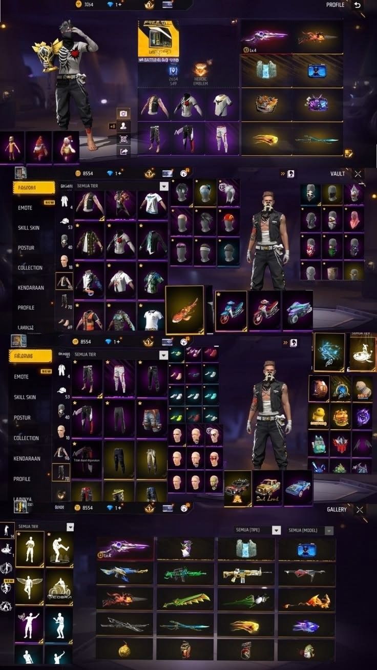CONTA | LV 67 | TROFÉU + 37 CONJUNTOS + 4 EVOS LV4