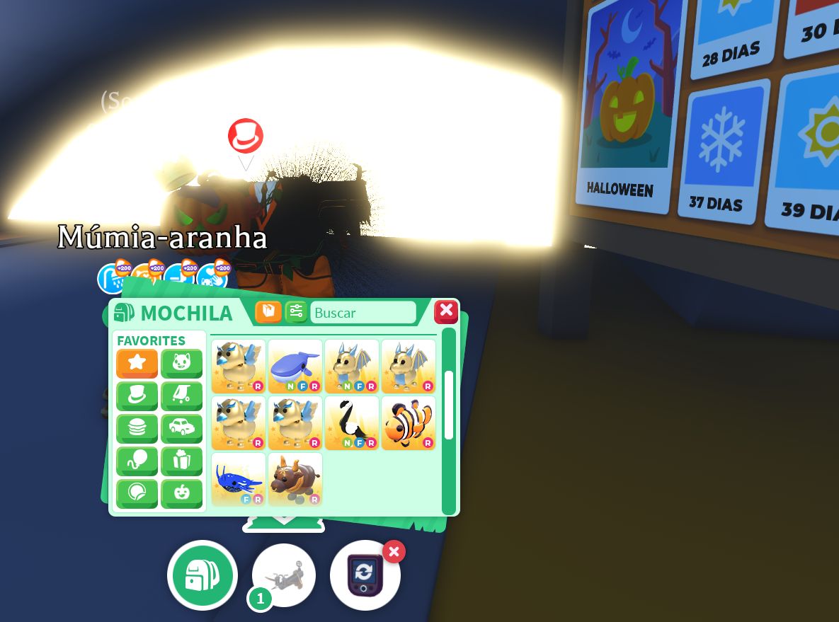 Vendendo Pets NFR