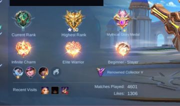 202 SKINS - FULL EMBLEMAS - FULL HEROIS
