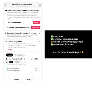 TikTok Monetizado BR | Seguidores Orgânicos | TIKTOK