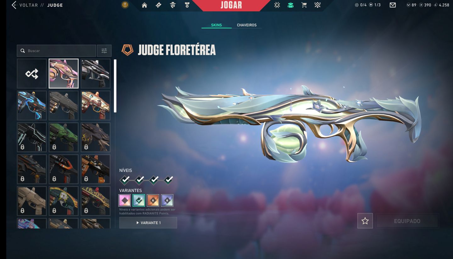 Conta Valorant Muitas Skins