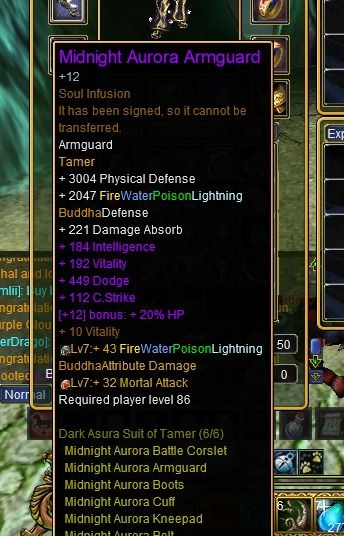 Tamer Full DR PvE +12
