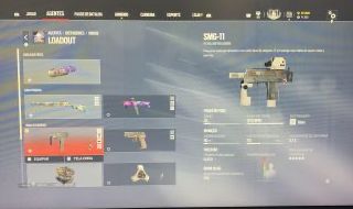 Conta R6 RARA com Geleiras + Pro League Tier 1/2/3 | 11k Créditos e 57 elites