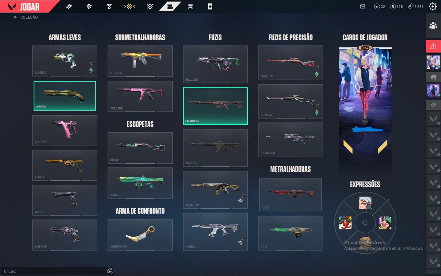 Conta valorant com skin champions 24
