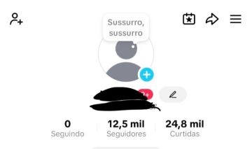 TIKTOK 12k BÁSICO