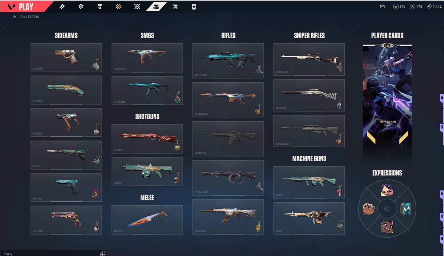 Conta Valorant Bronze com skins