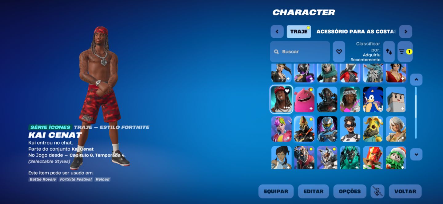 RENEGADA FLAMEJANTE + 45 SKINS + 58 ASAS + SONIC