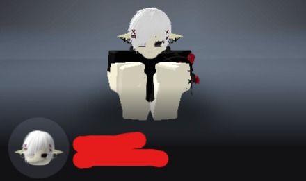 DUAS CONTAS DE ROBLOX COM SKINS E MUITAS COISAS NO BLOX FRUITS
