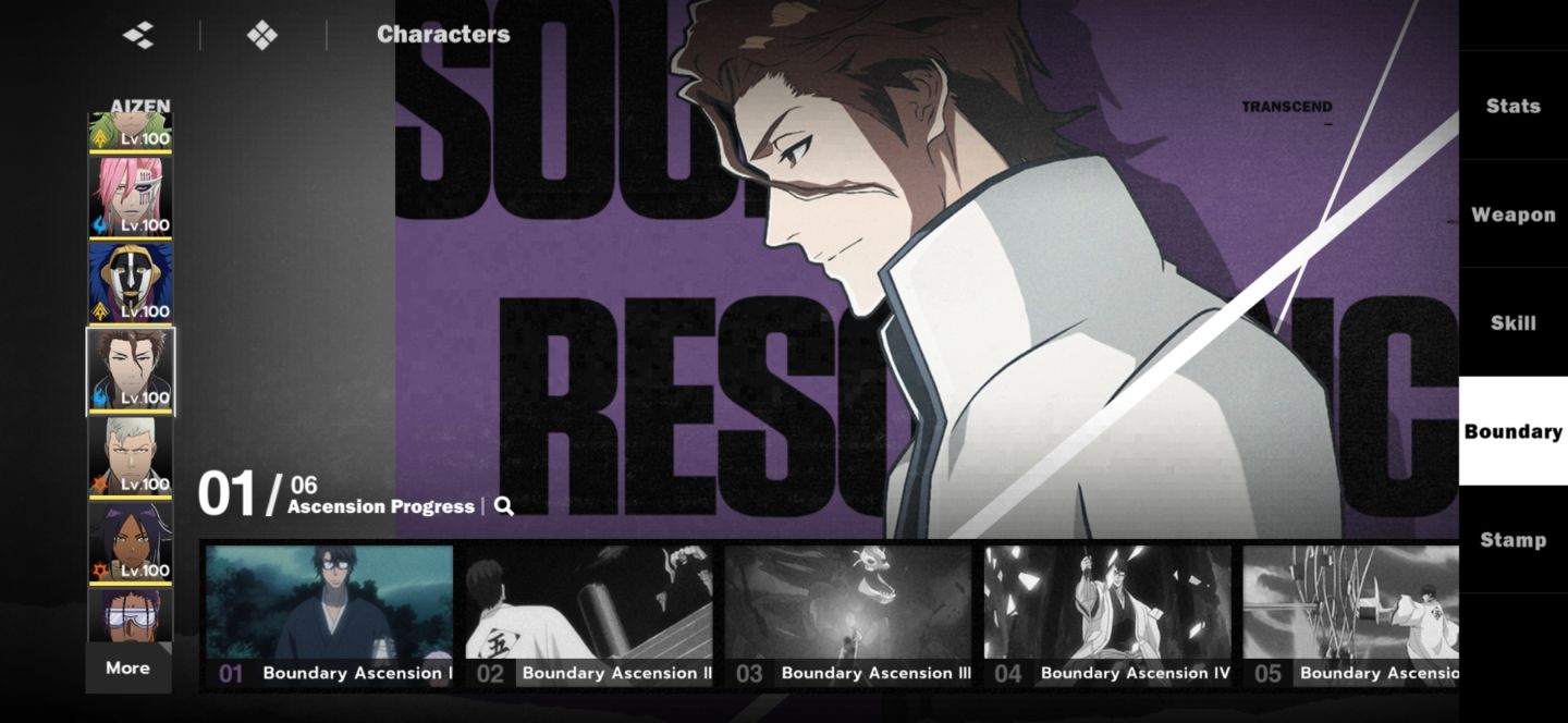Bleach soul resonance conta end game