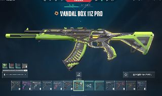 CONTA VALORANT RGX 11z PRO VANDAL, FIREFLY E BLADE, KURONAMI E BLACKTHOR VANDAL,