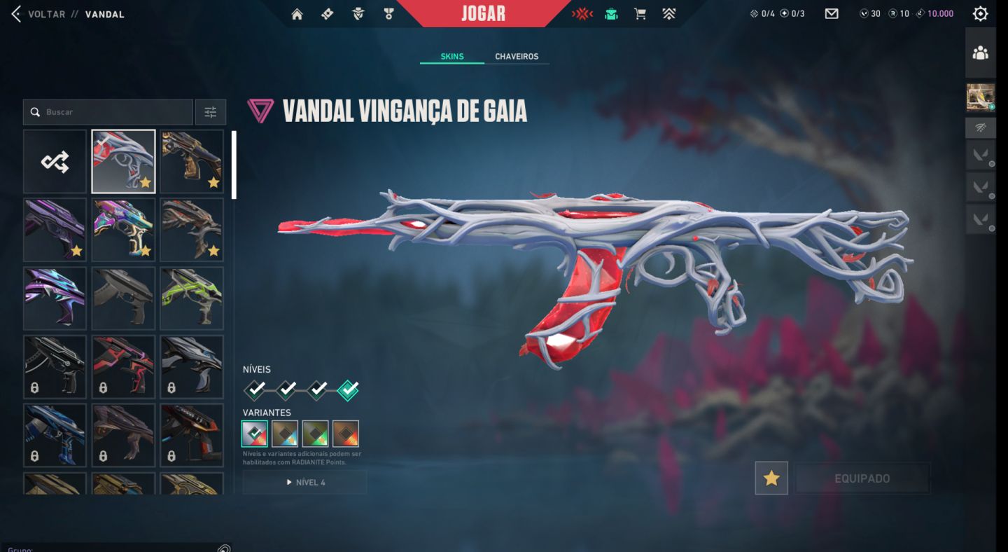 CONTA VALORANT FULL ACESS