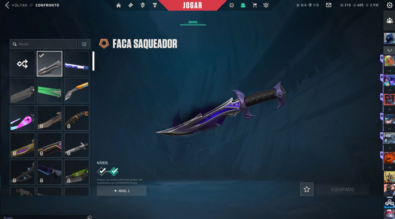 Conta Main Valorant/League OF Legends LoL Muitas Skins em ambos jogos