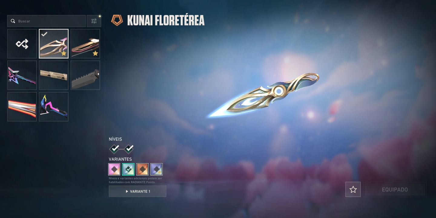 CONTA VALORANT +1400 GASTOS (VALOR NEGOCIAVEL)
