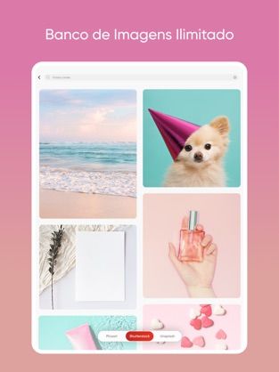 PICSART PRO | PICSART PLUS | 30 DIAS DE ACESSO + BRINDE (ENTREGA AUTOMÁTICA)