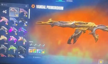 CONTA COM VARIAS SKINS DESEJADAS, PRIMORDIUM, ANCIFOGO ETC